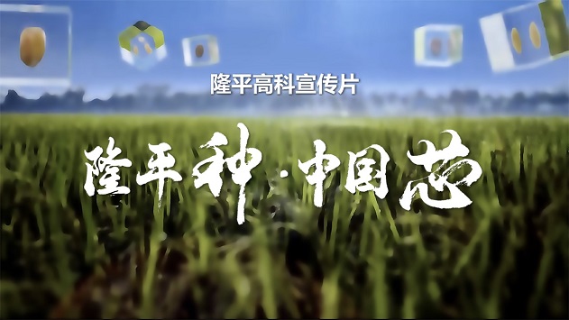 隆平高科宣傳片《隆平種·中國芯》